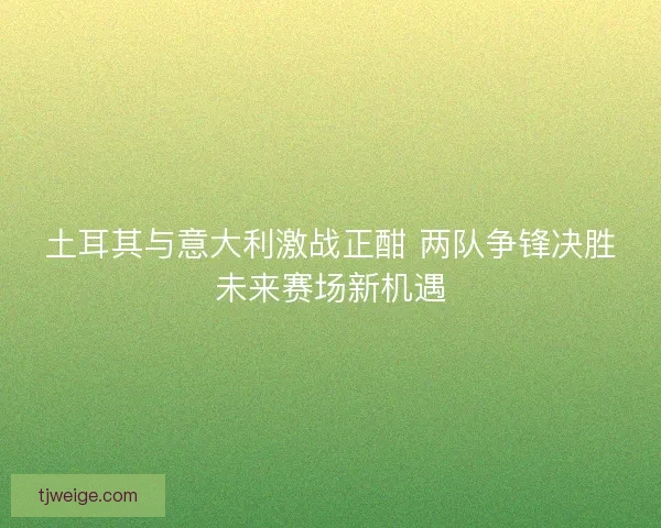 土耳其与意大利激战正酣 两队争锋决胜未来赛场新机遇